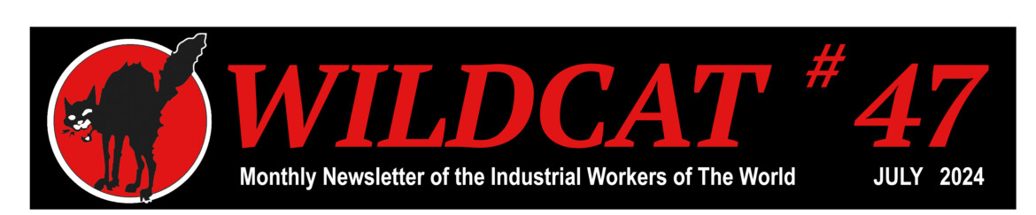 Wildcat Number 47 - the Newsletter of the Industrial Workers of the World